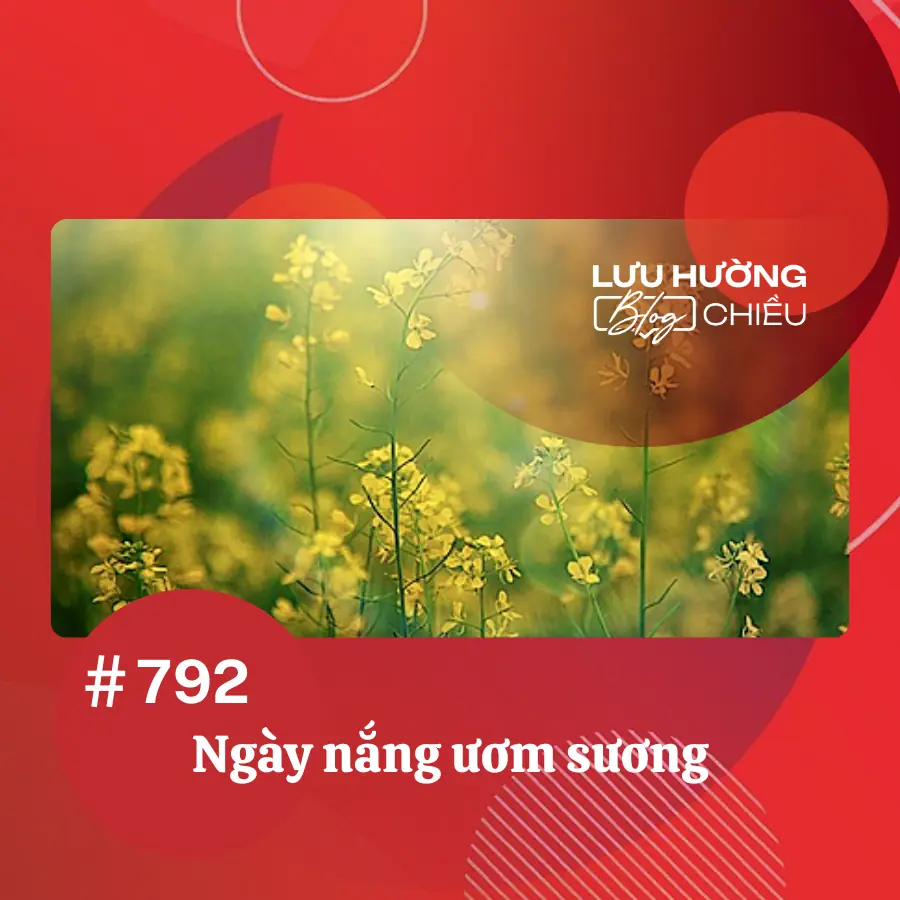 Ngày nắng ươm sương